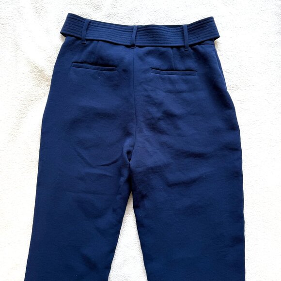 Aritzia Blue High-Waisted Trousers - Picture 7 of 8